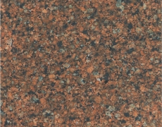 CORALMIST