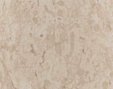 FOSSIL BEIGE